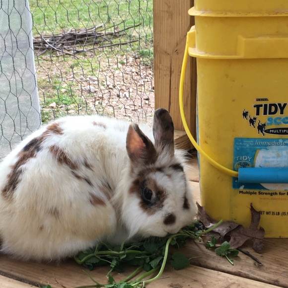 Hop on in for Added Discounts! - Picture 13 of 16